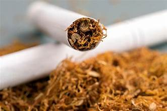 Health Risks of Vapes and Tobacco: Expert Warning from PGIMER on Nicotine Dangers