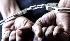 Panjab University Staff Kills Mother in Sector 40-D, Chandigarh