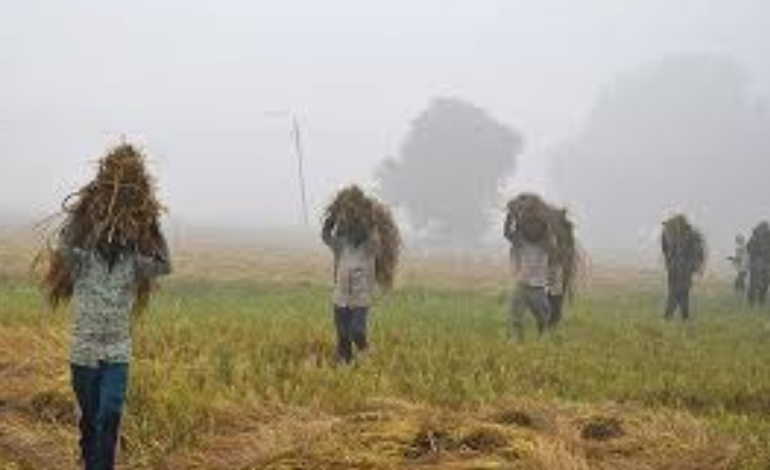 Punjab Farmers Warn Against Electricity Amendment Bill 2025 | SKM Threatens Black Day