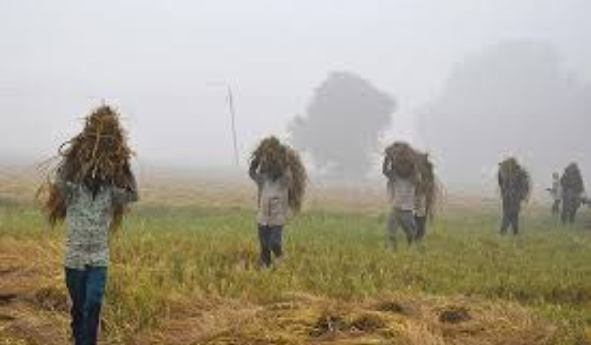 Punjab Farmers Warn Against Electricity Amendment Bill 2025 | SKM Threatens Black Day