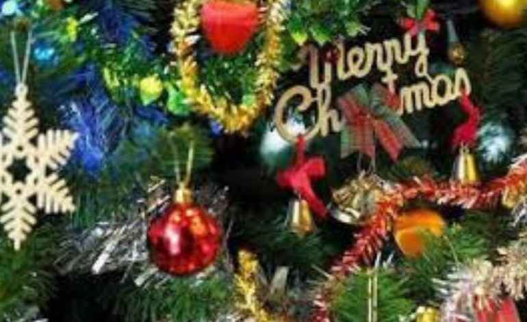 Royal Saini Extends Warm Christmas Wishes, Emphasises Peace and Unity