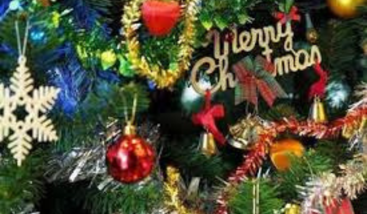 Royal Saini Extends Warm Christmas Wishes, Emphasises Peace and Unity